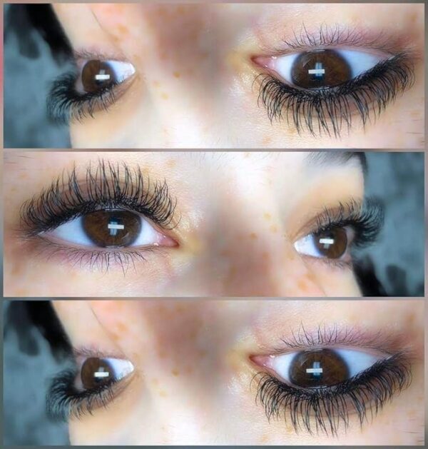 Premium Ellipse Flat Lashes || Matte Dark (0.15, 0.20) - Multiple Curls - Image 2